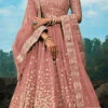 Beige Net Embroidered A Line Lehenga Wedding Wear