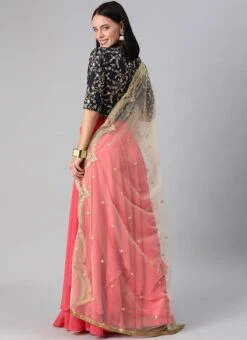 Blue N Pink Embroidered Layered Lehenga Party Wear -ZariGrace Shop Blue N Pink Embroidered Layered Lehenga GHBS01912013 b