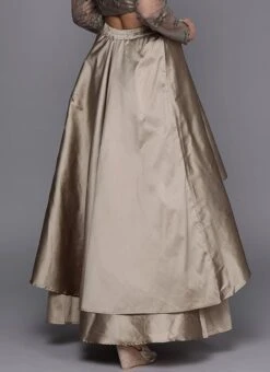 Dusty Gold Taffeta Skirt Festive Wear -ZariGrace Shop Dusty Gold Taffeta Skirt WBBS02307549 b