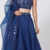Electric Blue Organza Embroidered Umbrella Lehenga Party Wear -ZariGrace Shop Electric Blue Organza Embroidered Umbrella Lehenga GHDSVLC141 l