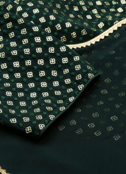 Green Embroidered Georgette Kali Flared Gown Party Wear -ZariGrace Shop Green Embroidered Georgette Kali Flared Gown IWBS02208519 rrc3