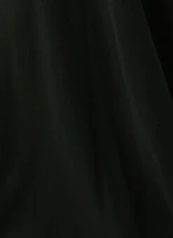 Green Georgette Embroidered Dress Festive Wear 17 Green Georgette Embroidered Dress Festive Wear -ZariGrace Shop Green Georgette Embroidered Dress DRBS02212609 rrc4