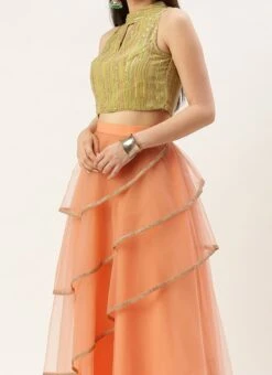 Dupatta From Green Georgette Sequins N Peach Net Lehenga After Six Wear