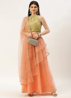 Dupatta From Green Georgette Sequins N Peach Net Lehenga After Six Wear -ZariGrace Shop Green Georgette Sequins N Peach Net Lehenga GHBS02210904 u