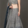 Grey Net Embroidery N Sequins Hand Work Umbrella Lehenga Choli Wedding Wear 1 Grey Net Embroidery N Sequins Hand Work Umbrella Lehenga Choli Wedding Wear -ZariGrace Shop Grey Net Embroidery N Sequins Hand Work Umbrella Lehenga Choli GHCB2329 l