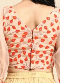 Light Peach Embroidered Chiffon Blouse Party Wear -ZariGrace Shop Light Peach Embroidered Chiffon Blouse BLBS02301968 rrc2
