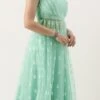 Skirt From Light Sea Green Net Skirt Set After Six Wear -ZariGrace Shop Light Sea Green Net Skirt Set IWBS02212470 l