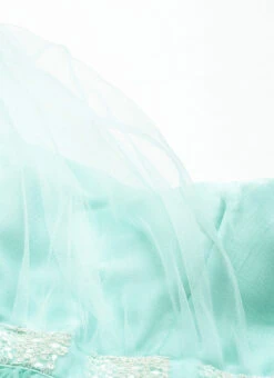 Skirt From Light Sea Green Net Skirt Set After Six Wear 13 Skirt From Light Sea Green Net Skirt Set After Six Wear -ZariGrace Shop Light Sea Green Net Skirt Set IWBS02212470 rrc1