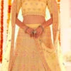 Light Yellow Organza Embroidered N Stones A Line Lehenga Wedding Wear