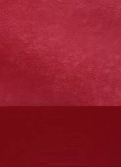 Maroon Georgette Sequins Half N Half Sari Festive Wear 17 Maroon Georgette Sequins Half N Half Sari Festive Wear -ZariGrace Shop Maroon Georgette Sequins Half N Half Sari SABS02302376 rrc4