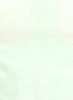 Mint Green Georgette Blouse Festive Wear 17 Mint Green Georgette Blouse Festive Wear -ZariGrace Shop Mint Green Georgette Blouse BLBS02305179 rrc4