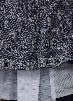 Navy Blue Net Stones N Hand Work Umbrella Lehenga Choli Wedding Wear -ZariGrace Shop Navy Blue Net Stones N Hand Work Umbrella Lehenga Choli GHCBF5137 rrc4