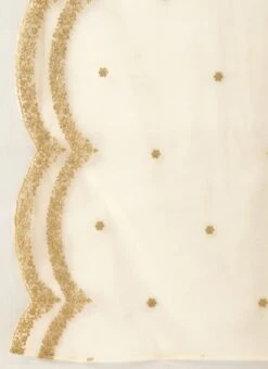 Dupatta From Peach Art Silk Jacquard Gown With Dupatta After Six Wear -ZariGrace Shop Peach Art Silk Jacquard Gown With Dupatta IWBS02302268 rrc4