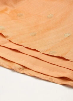 Peach Art Silk Jacquard Pleated Yoke Gown Wedding Wear -ZariGrace Shop Peach Art Silk Jacquard Pleated Yoke Gown IWBS02212540 rrc4