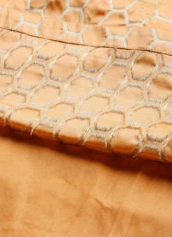 Peach Brocade Box Pleated Skirt Festive Wear -ZariGrace Shop Peach Brocade Box Pleated Skirt WBBS02012679 rrc3