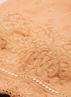 Peach Embroidered N Navy Blue Gown Wedding Wear 14 Peach Embroidered N Navy Blue Gown Wedding Wear -ZariGrace Shop Peach Embroidered N Navy Blue Gown IWBS02205095 rrc1