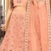 Peach Embroidery Stone Mirror Work Net A Line Lehenga Party Wear -ZariGrace Shop Peach Embroidery Stone Mirror Work Net A Line Lehenga GHSK4629A1043C l