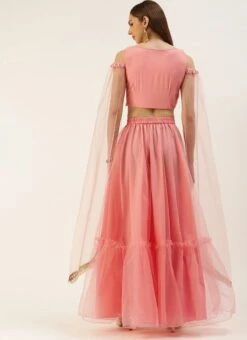 Skirt From Peach N Pink Net Embroidered Skirt Set After Six Wear -ZariGrace Shop Peach N Pink Net Embroidered Skirt Set IWBS02212524 b