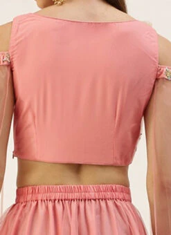 Skirt From Peach N Pink Net Embroidered Skirt Set After Six Wear -ZariGrace Shop Peach N Pink Net Embroidered Skirt Set IWBS02212524 rrc2