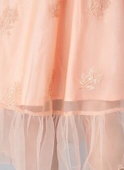 Peach Organza Embroidered Midi Dress After Six Wear -ZariGrace Shop Peach Organza Embroidered Midi Dress DRBS02205053 rrc4