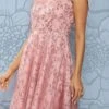 Pink Embroidered Net Corset Style Dress Party Wear -ZariGrace Shop Pink Embroidered Net Corset Style Dress DRBS02301106 l