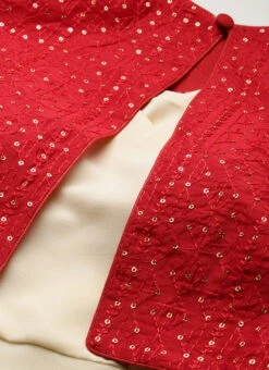 Pink N Light Green Embroidered Jacket Style Gown Festive Wear -ZariGrace Shop Pink N Light Green Embroidered Jacket Style Gown IWBS02301769 rrc1