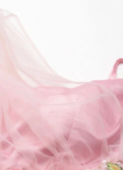 Skirt From Pink Net Embroidered Skirt Set After Six Wear -ZariGrace Shop Pink Net Embroidered Skirt Set IWBS02212474 rrc1