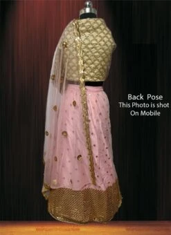 Pink Net Umbrella Lehenga Party Wear -ZariGrace Shop Pink Net Umbrella Lehenga GHSCC40824110 b
