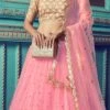Pink Net Umbrella Lehenga Party Wear -ZariGrace Shop Pink Net Umbrella Lehenga GHSCC40824110 l