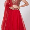 Red Organza Embroidered Umbrella Lehenga Party Wear -ZariGrace Shop Red Organza Embroidered Umbrella Lehenga GHDSVLC140 l