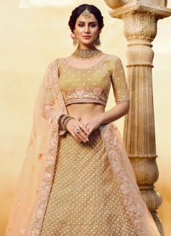 Beige Net A Line Lehenga Wedding Wear 9 Beige Net A Line Lehenga Wedding Wear -ZariGrace Shop beige net a line lehenga ghmkns3807 b