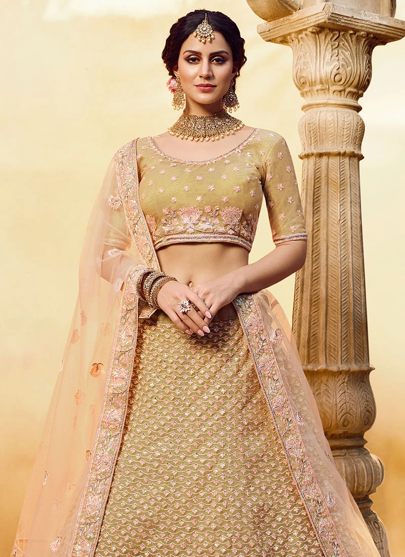 Beige Net A Line Lehenga Wedding Wear 6 Beige Net A Line Lehenga Wedding Wear - Image 4