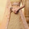 Beige Net A Line Lehenga Wedding Wear
