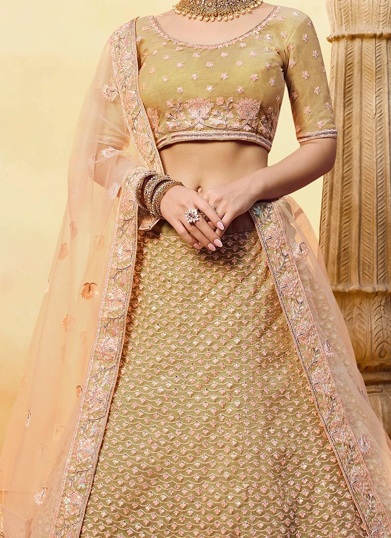 Beige Net A Line Lehenga Wedding Wear 3 Beige Net A Line Lehenga Wedding Wear