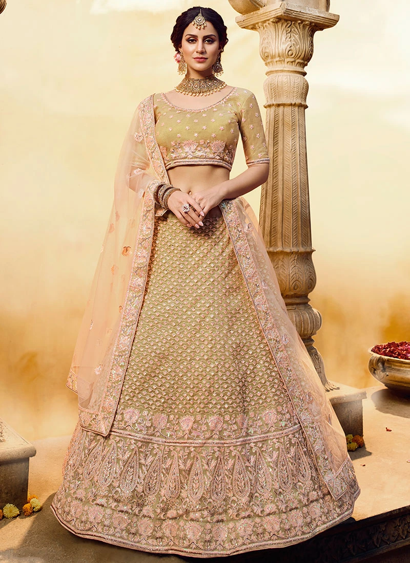 Beige Net A Line Lehenga Wedding Wear 5 Beige Net A Line Lehenga Wedding Wear - Image 3