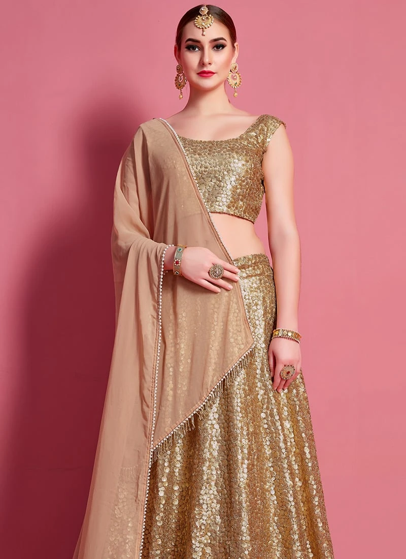 Beige Net Designer A Line Lehenga Party Wear 6 Beige Net Designer A Line Lehenga Party Wear - Image 4