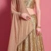 Beige Net Designer A Line Lehenga Party Wear -ZariGrace Shop beige net designer a line lehenga ghsak4610 l