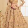 Beige Net Umbrella Lehenga For Partywear Party Wear