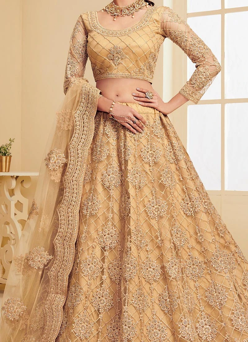 Beige Net Umbrella Lehenga For Partywear Party Wear 3 Beige Net Umbrella Lehenga For Partywear Party Wear