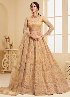 Beige Net Umbrella Lehenga For Partywear Party Wear 8 Beige Net Umbrella Lehenga For Partywear Party Wear -ZariGrace Shop beige net umbrella lehenga for partywear ghsaj1004e u