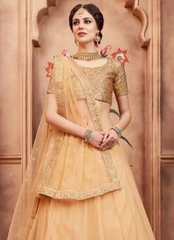 Beige Sequins Embroidered A Line Lehenga Wedding Wear -ZariGrace Shop beige sequins embroidered a line lehenga ghmknsbm2005 b