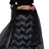 Black Velvet Silver N Royal Blue Sequins A Line Lehenga Festive Wear