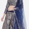Blue Art Silk Gota A Line Lehenga Festive Wear -ZariGrace Shop blue art silk gota a line lehenga ghsrk169280 l