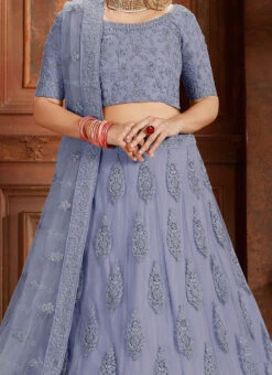 Blue Net A Line Lehenga Party Wear