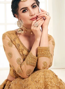 Brown Net A Line Lehenga Wedding Wear