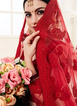 Burgundy Net A Line Lehenga Wedding Wear