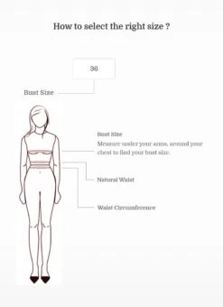 Pink Net Embroidered Umbrella Lehenga Choli Party Wear -ZariGrace Shop bust size measure image 1408