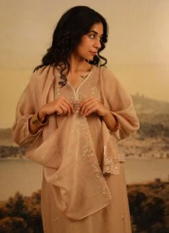 Chikku Brown Chanderi Silk Embroidered Dupatta Party Wear -ZariGrace Shop chikku brown chanderi silk embroidered dupatta dpbadcssfch01 b