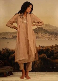 Chikku Brown Chanderi Silk Embroidered Dupatta Party Wear -ZariGrace Shop chikku brown chanderi silk embroidered dupatta dpbadcssfch01 u