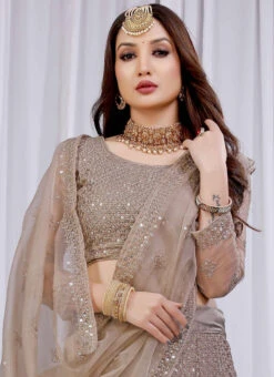 Fawn Net Sequins A Line Lehenga Party Wear 9 Fawn Net Sequins A Line Lehenga Party Wear -ZariGrace Shop fawn net sequins a line lehenga ghska467411084 b
